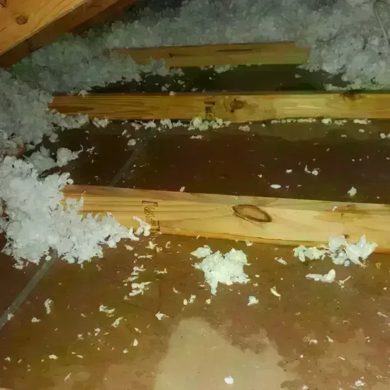 Attic Water Damage in Bellevue, IA