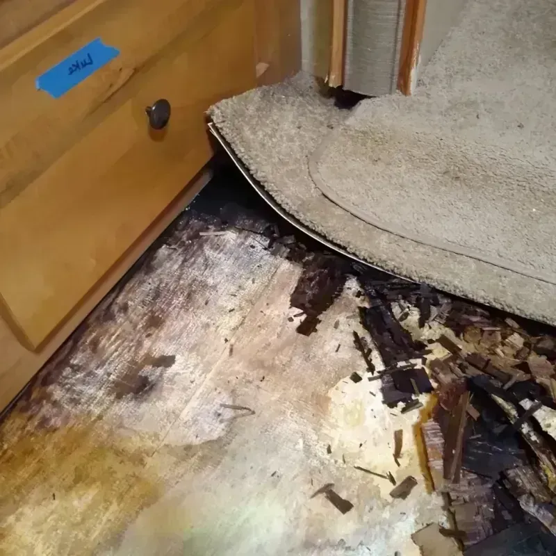 Wood Floor Water Damage in Bellevue, IA